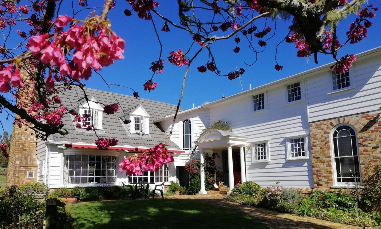 The Georgian Lodge Kerikeri Bagian luar foto
