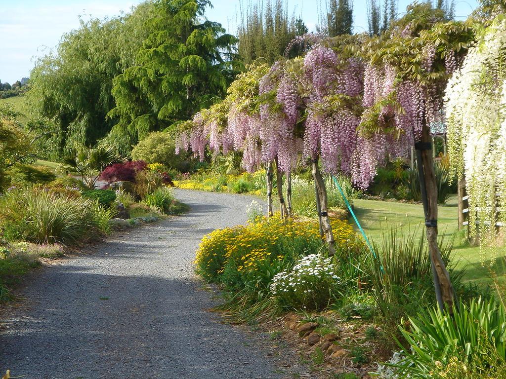 The Georgian Lodge Kerikeri Bagian luar foto