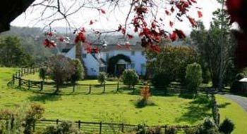 The Georgian Lodge Kerikeri Bagian luar foto